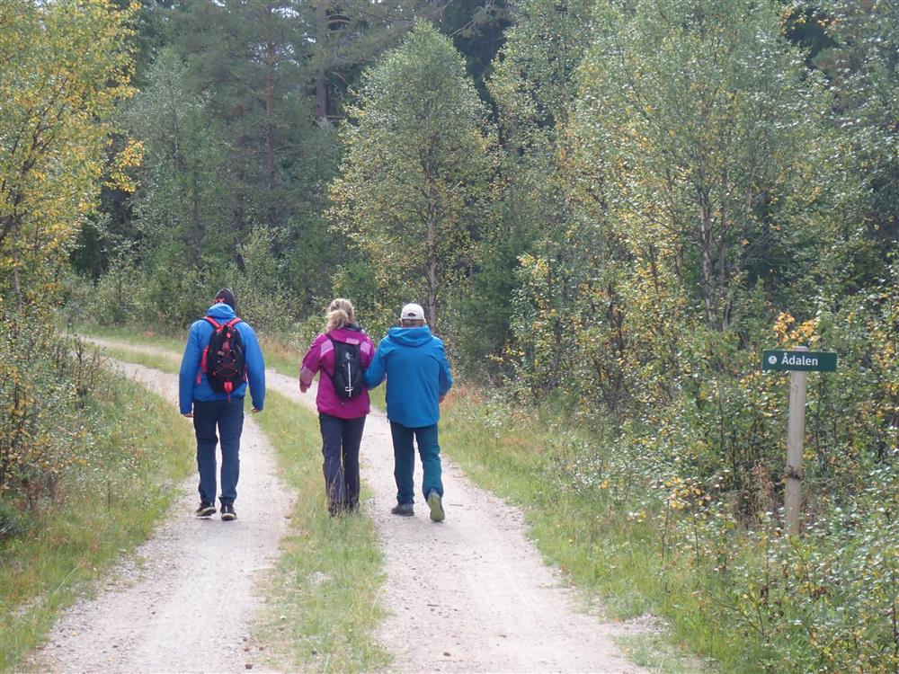 Klikk for stort bilde