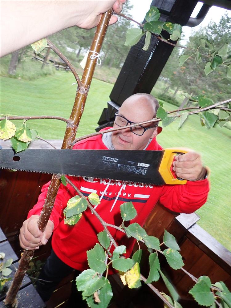 Klikk for stort bilde