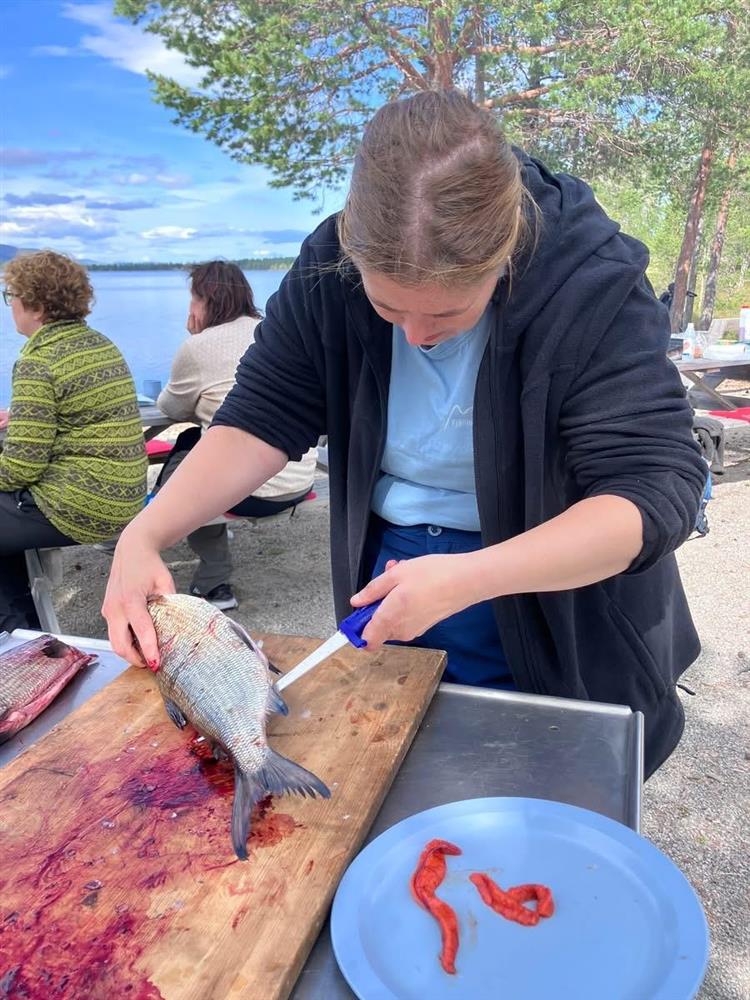 Klikk for stort bilde