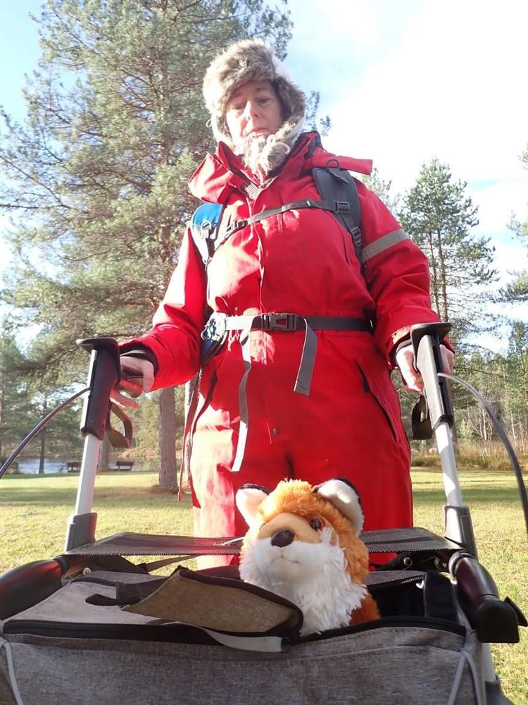 Klikk for stort bilde