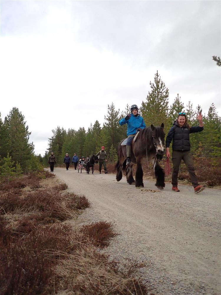 Klikk for stort bilde