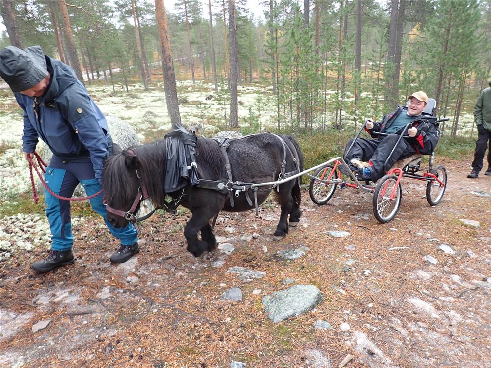 Klikk for stort bilde