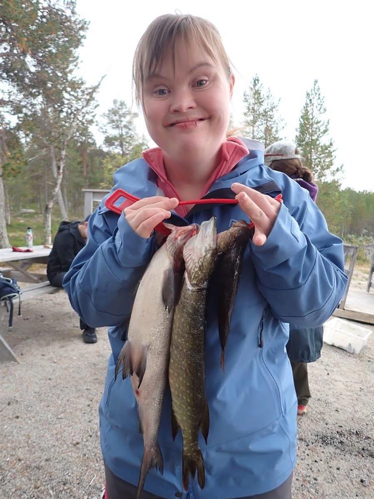 Klikk for stort bilde