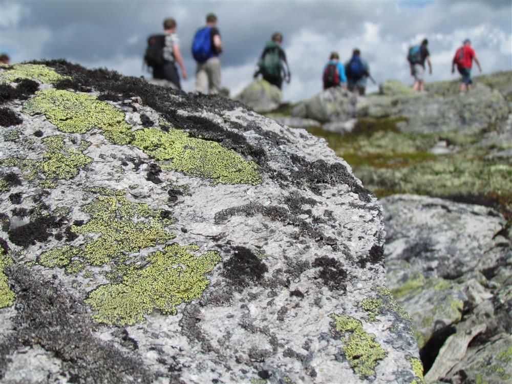 Klikk for stort bilde