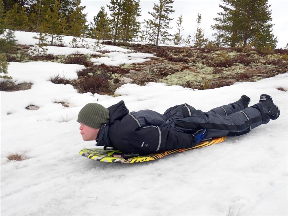 Klikk for stort bilde