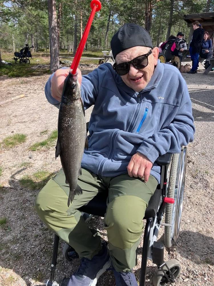 Klikk for stort bilde