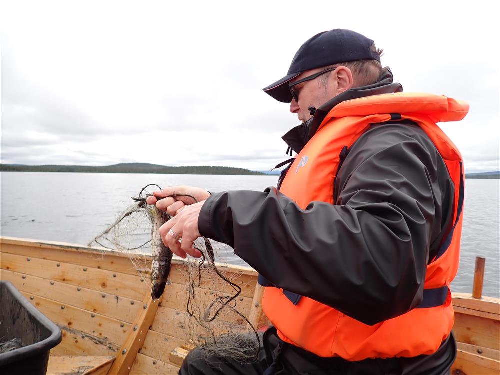 Klikk for stort bilde