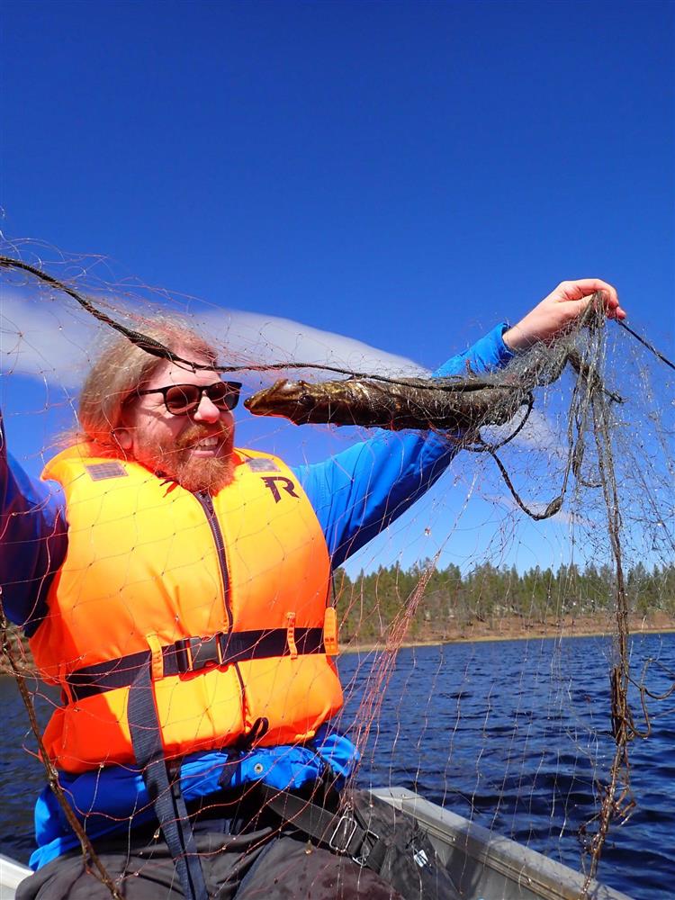 Klikk for stort bilde