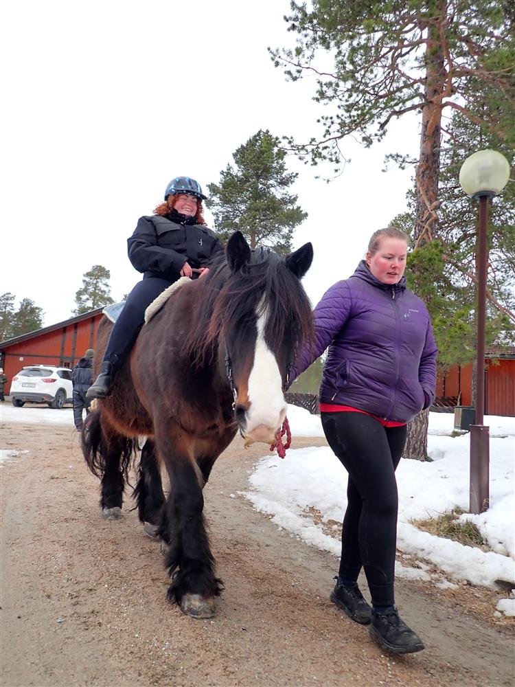 Klikk for stort bilde