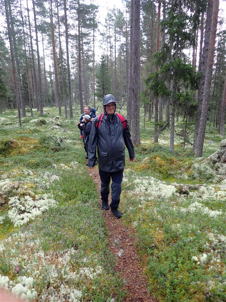 Klikk for stort bilde