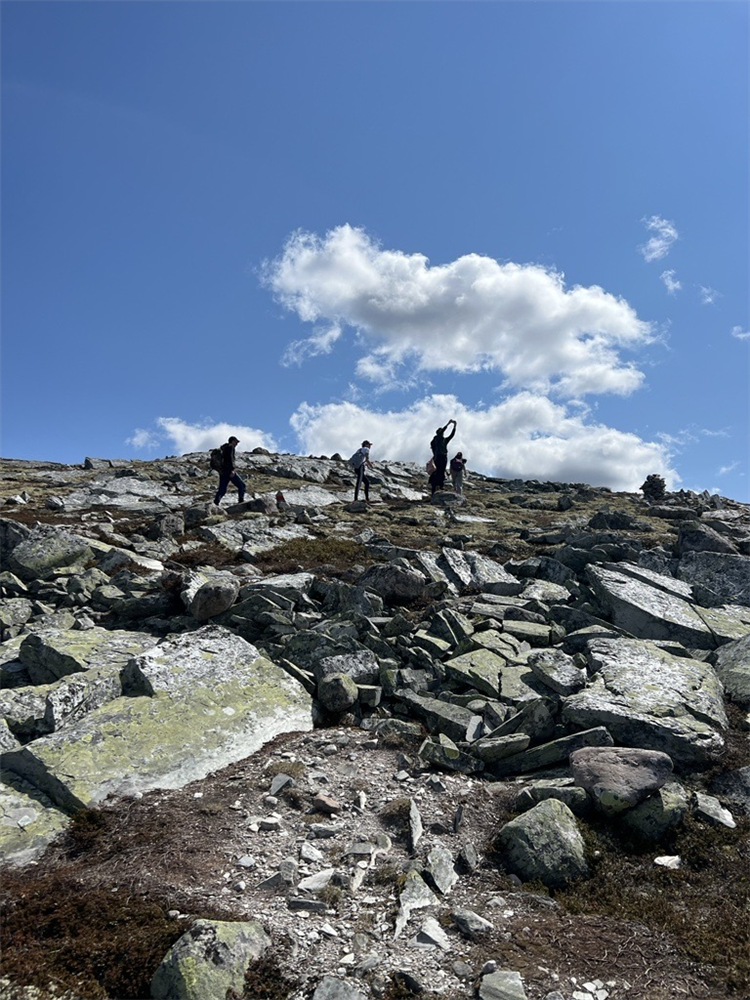 Galtåsknappen - Klikk for stort bilde