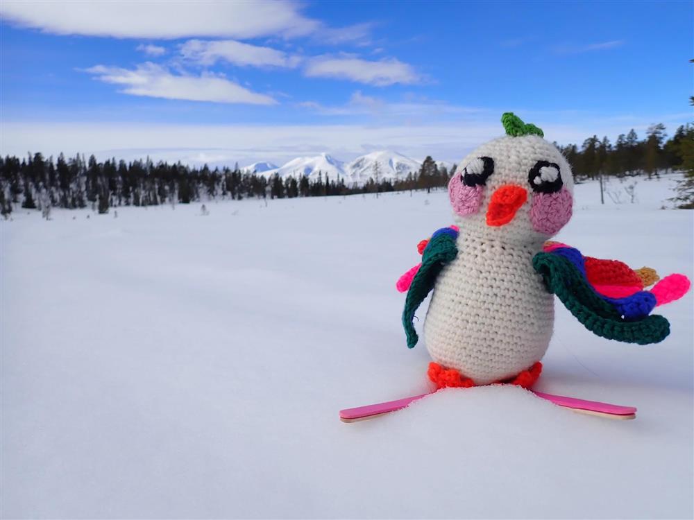 Klikk for stort bilde