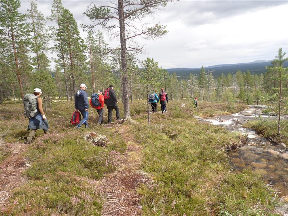 Klikk for stort bilde