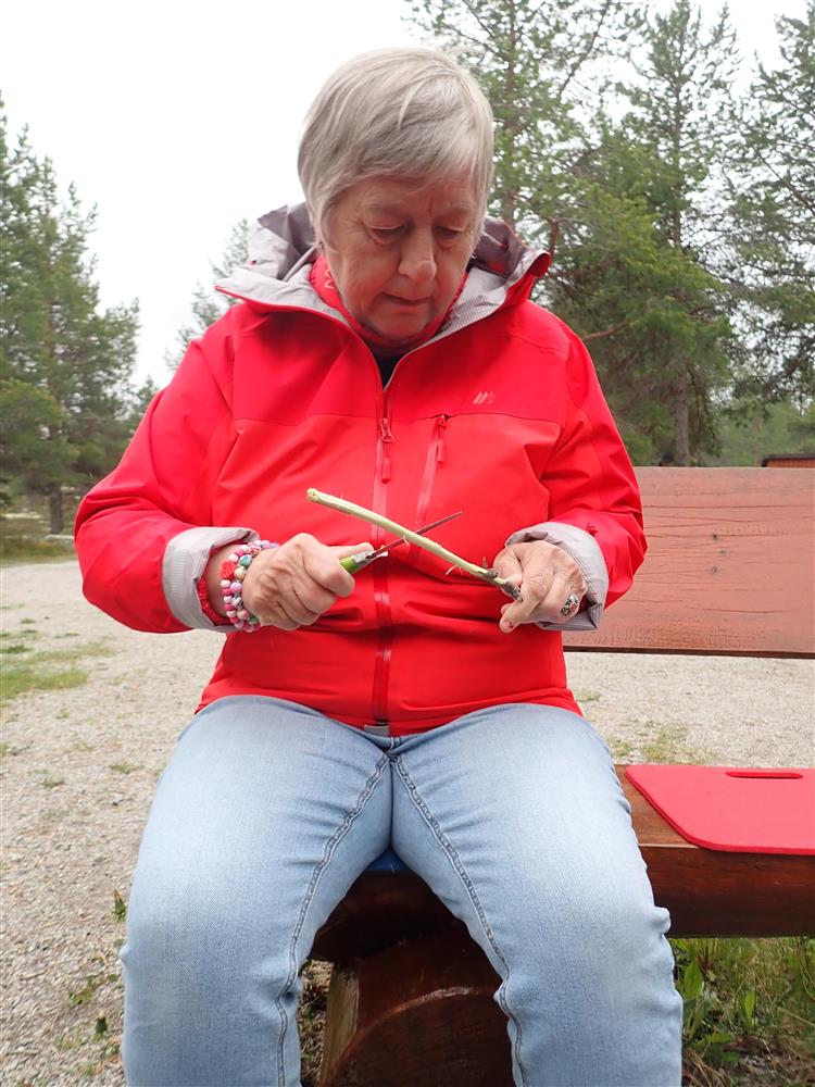 Klikk for stort bilde