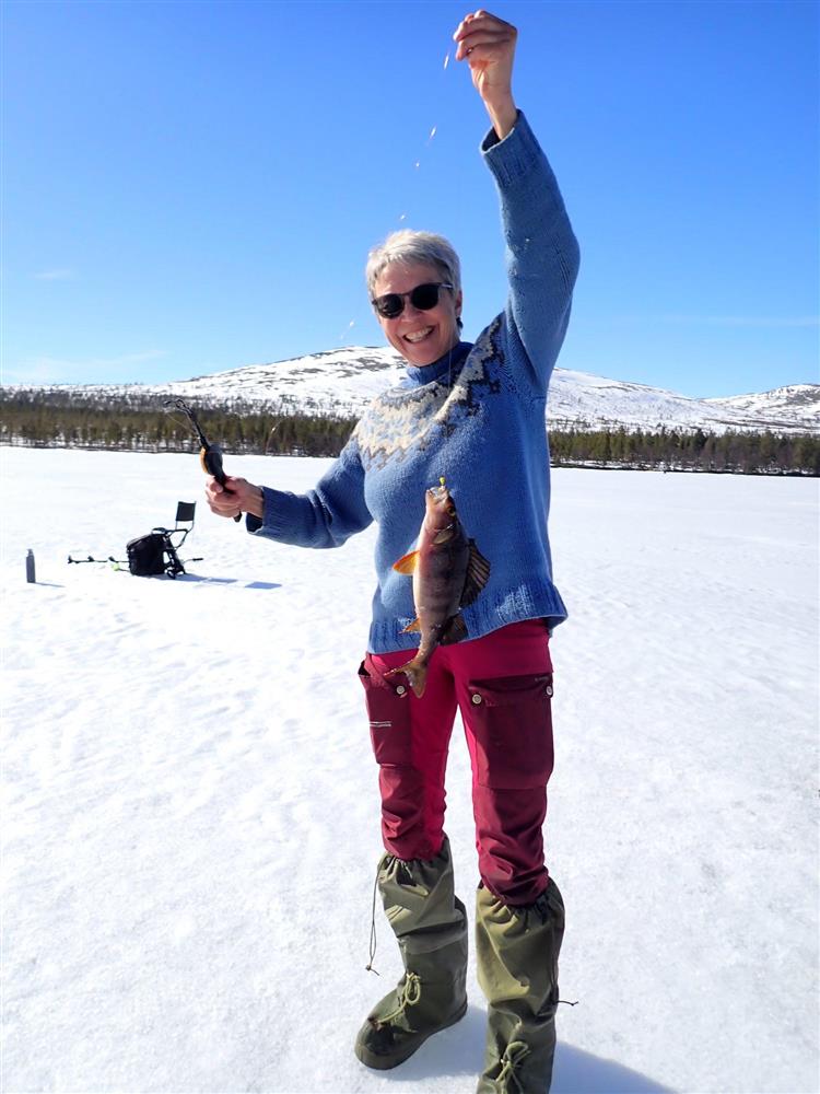 Klikk for stort bilde