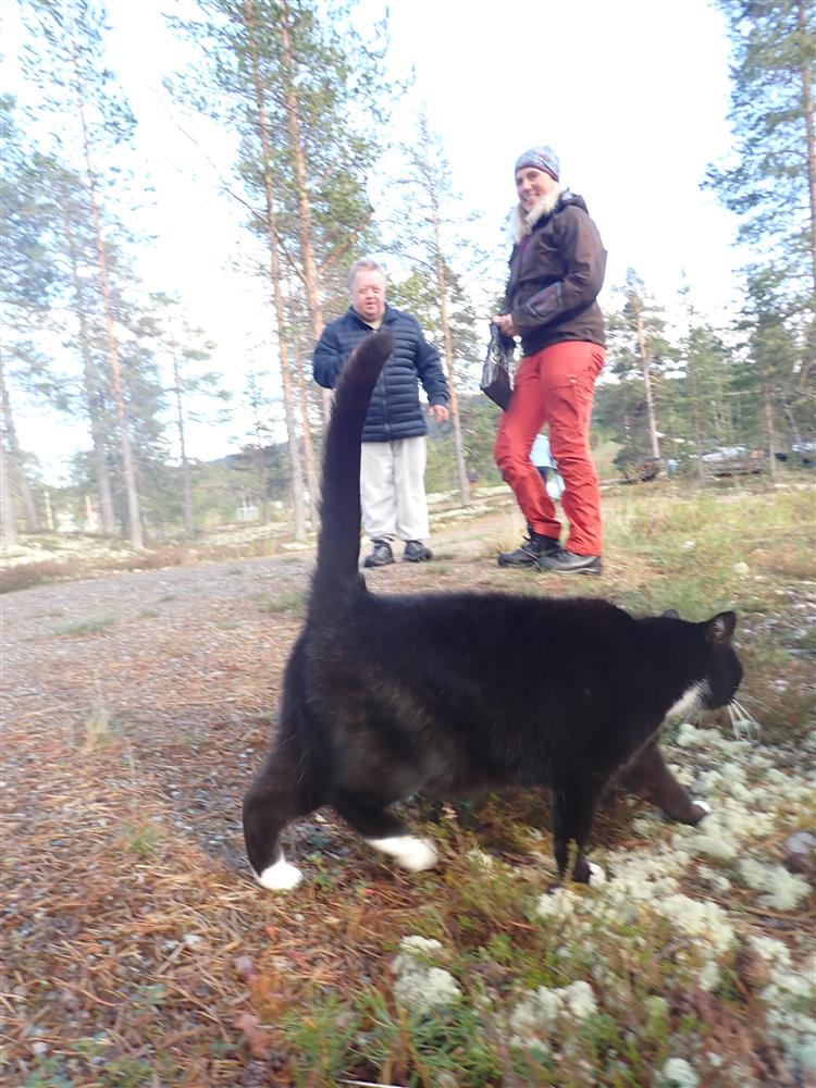 Klikk for stort bilde