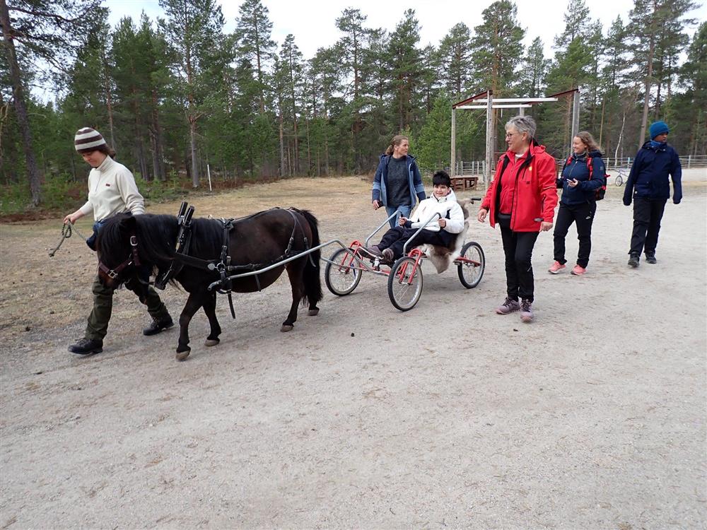 Klikk for stort bilde