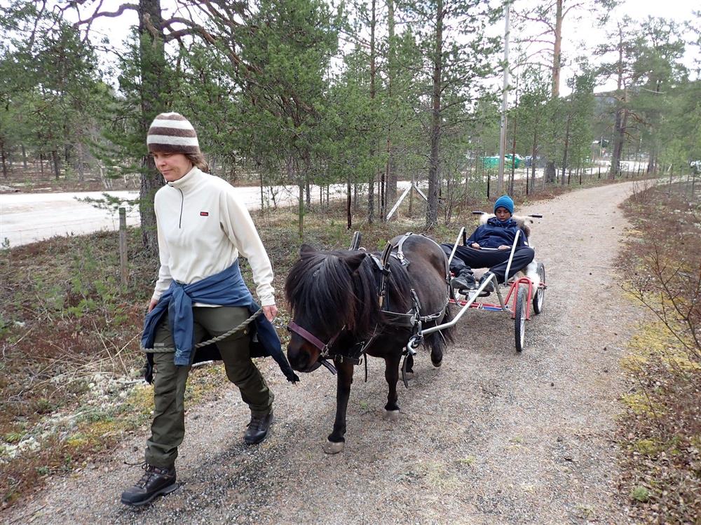 Klikk for stort bilde