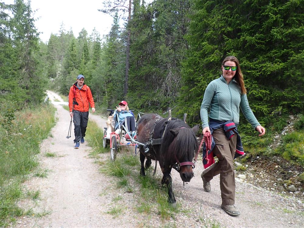 Klikk for stort bilde