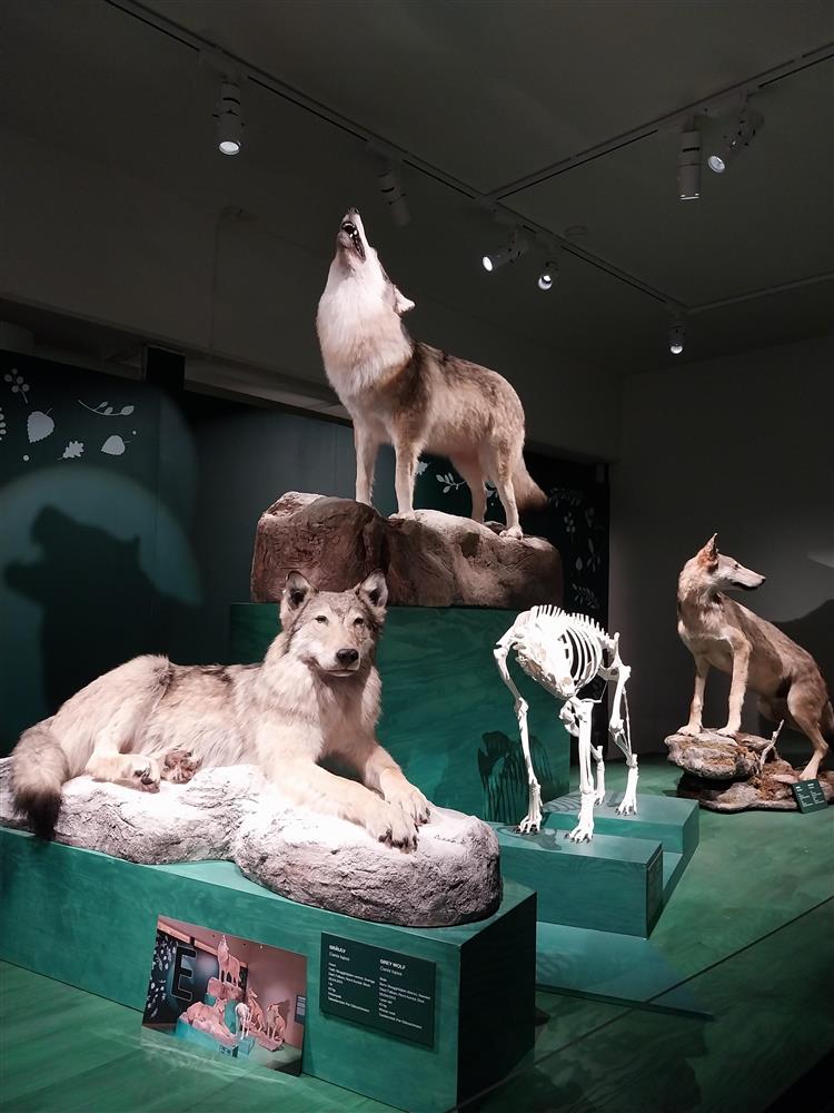 Skogbruksmuseet - Klikk for stort bilde