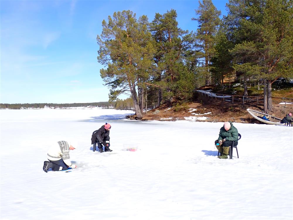 Klikk for stort bilde