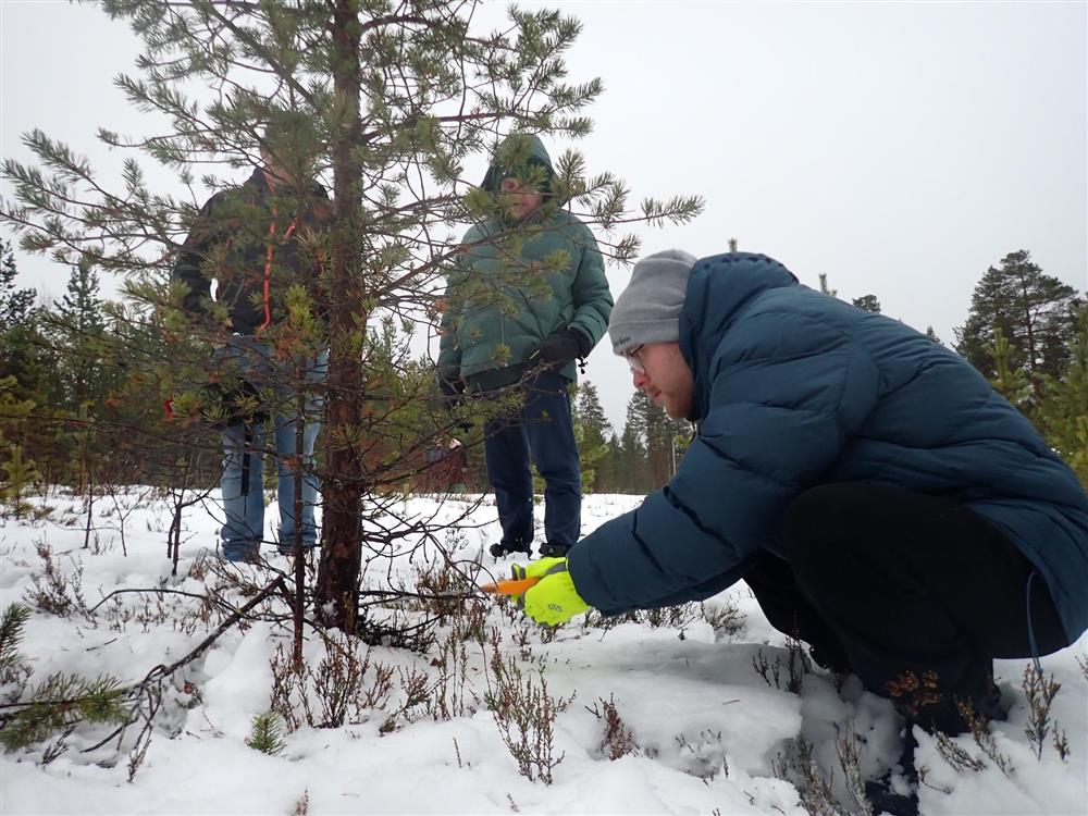Klikk for stort bilde