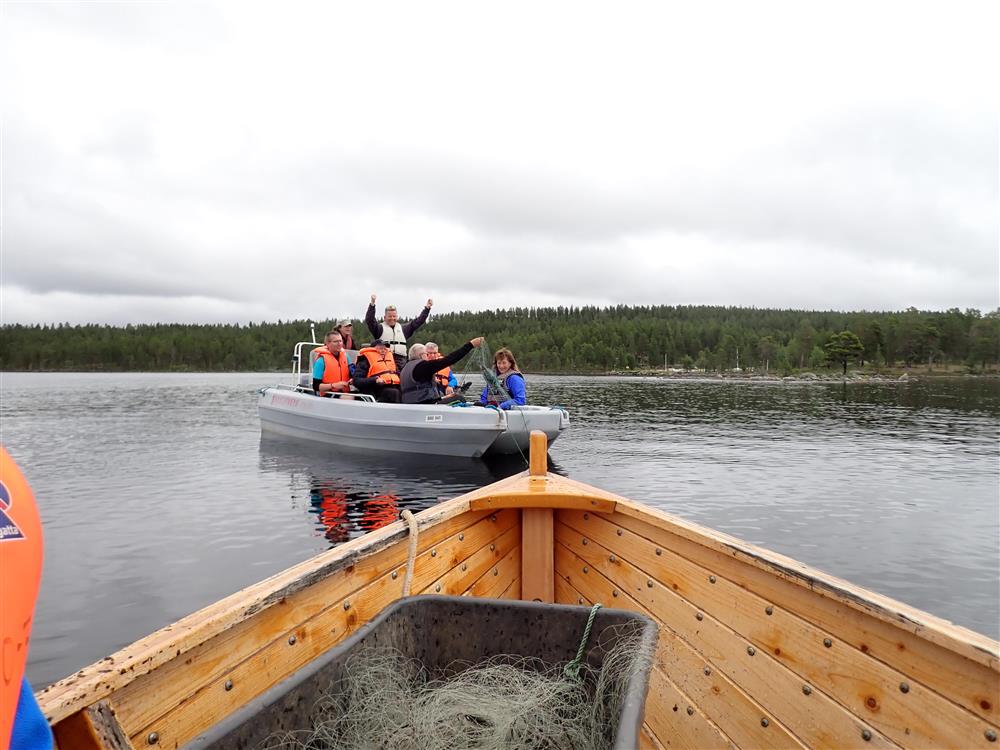 Klikk for stort bilde