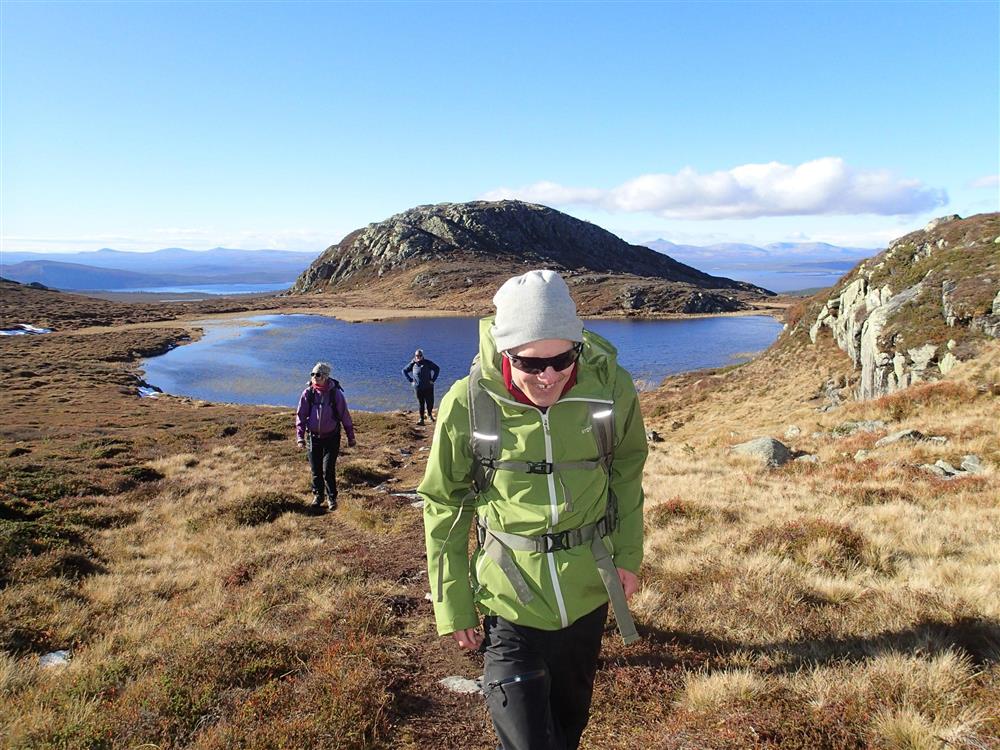 Klikk for stort bilde