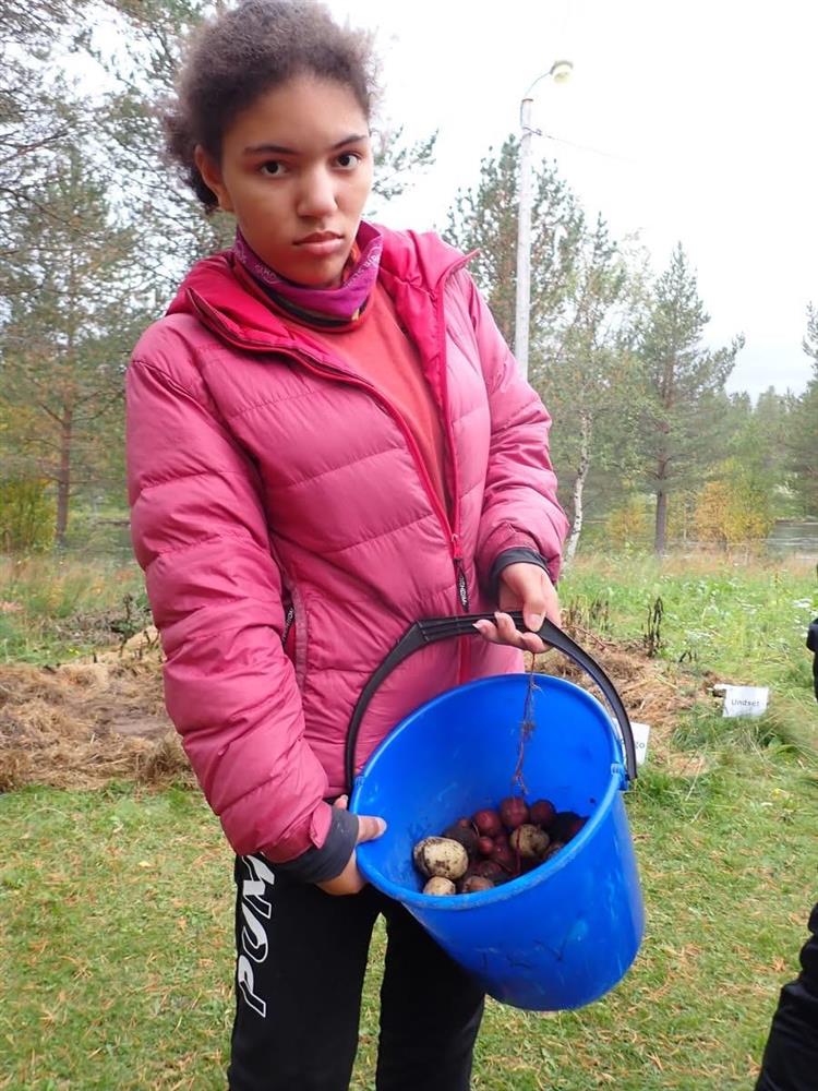 Klikk for stort bilde