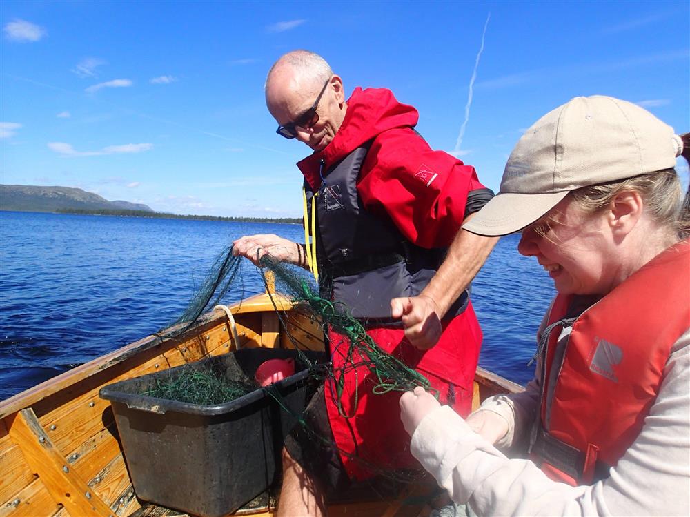 Klikk for stort bilde