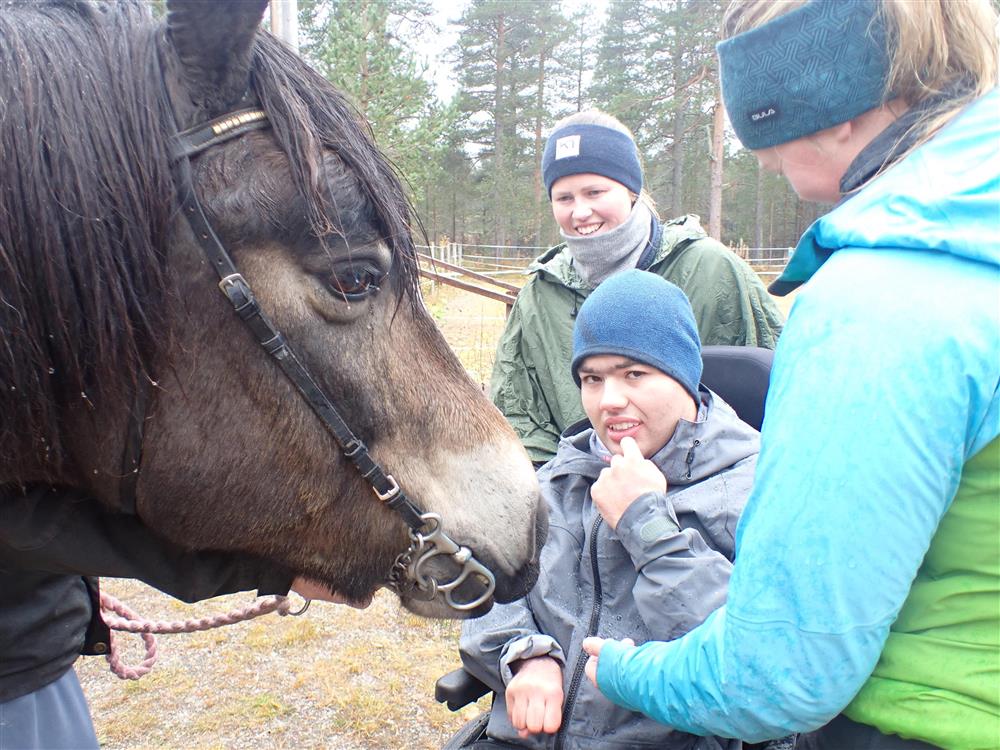 Klikk for stort bilde
