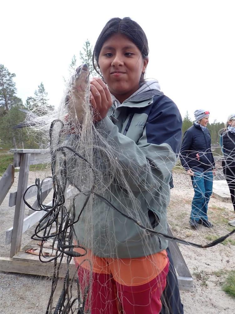 Klikk for stort bilde