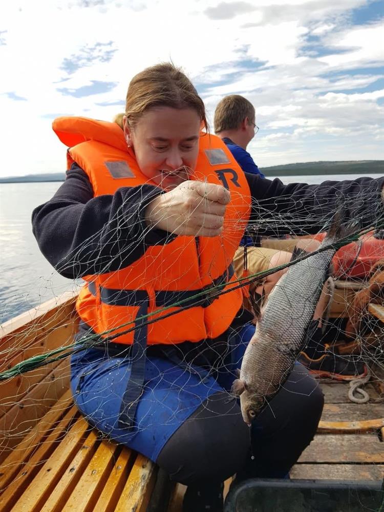 Klikk for stort bilde