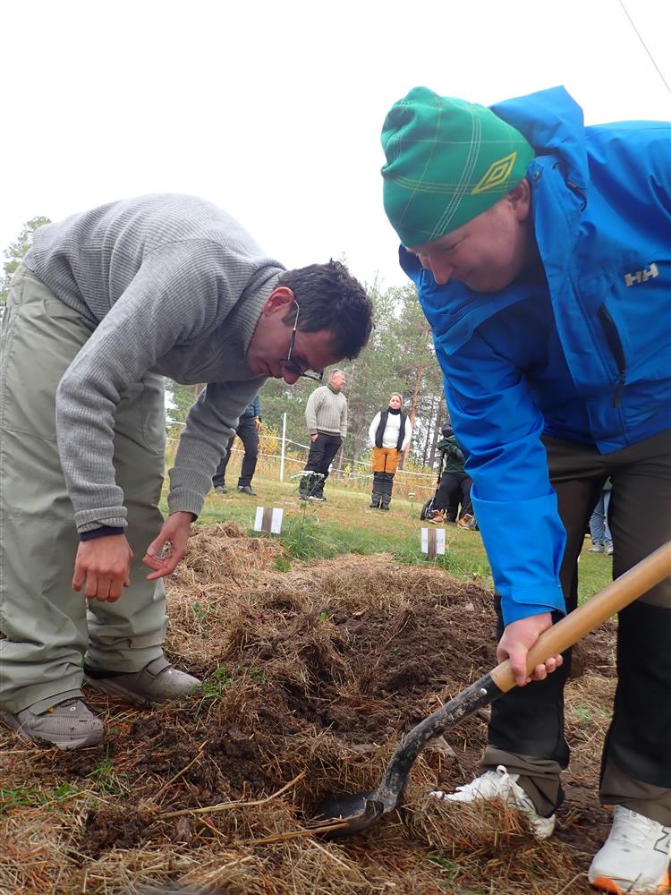 Klikk for stort bilde