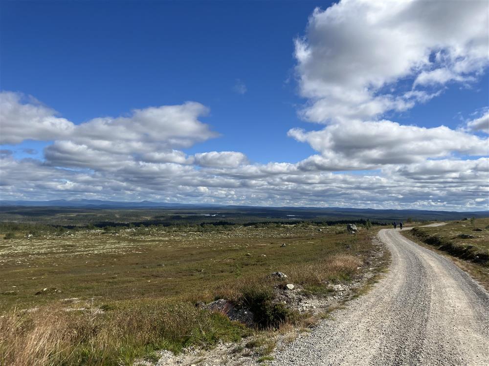 Klikk for stort bilde