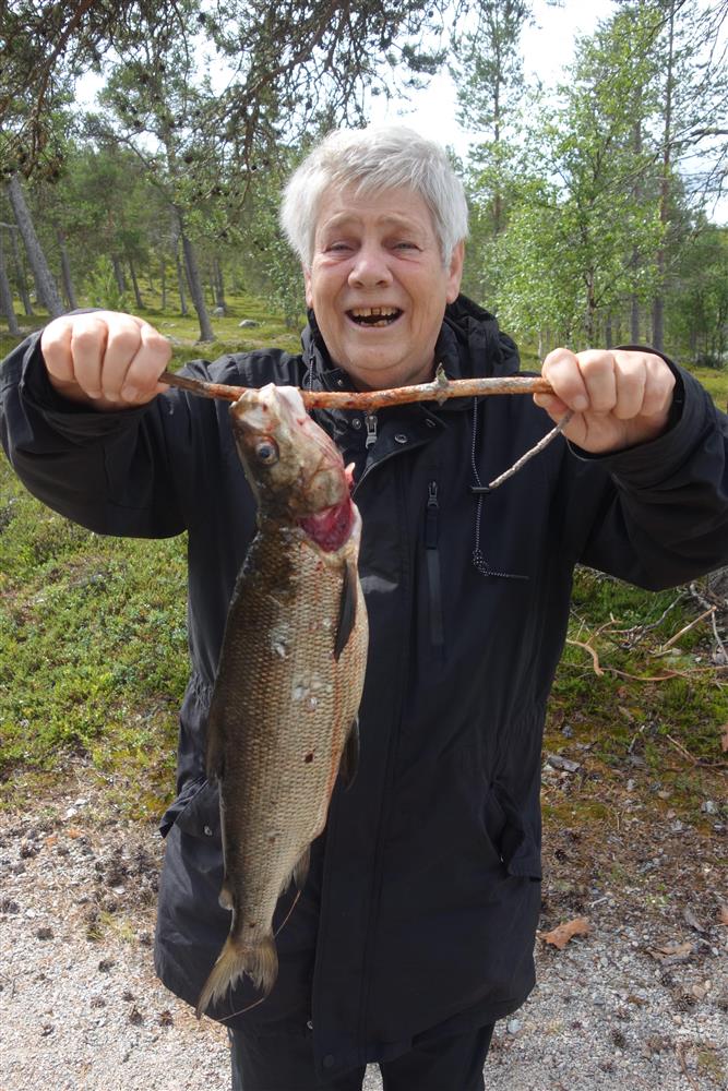 Klikk for stort bilde
