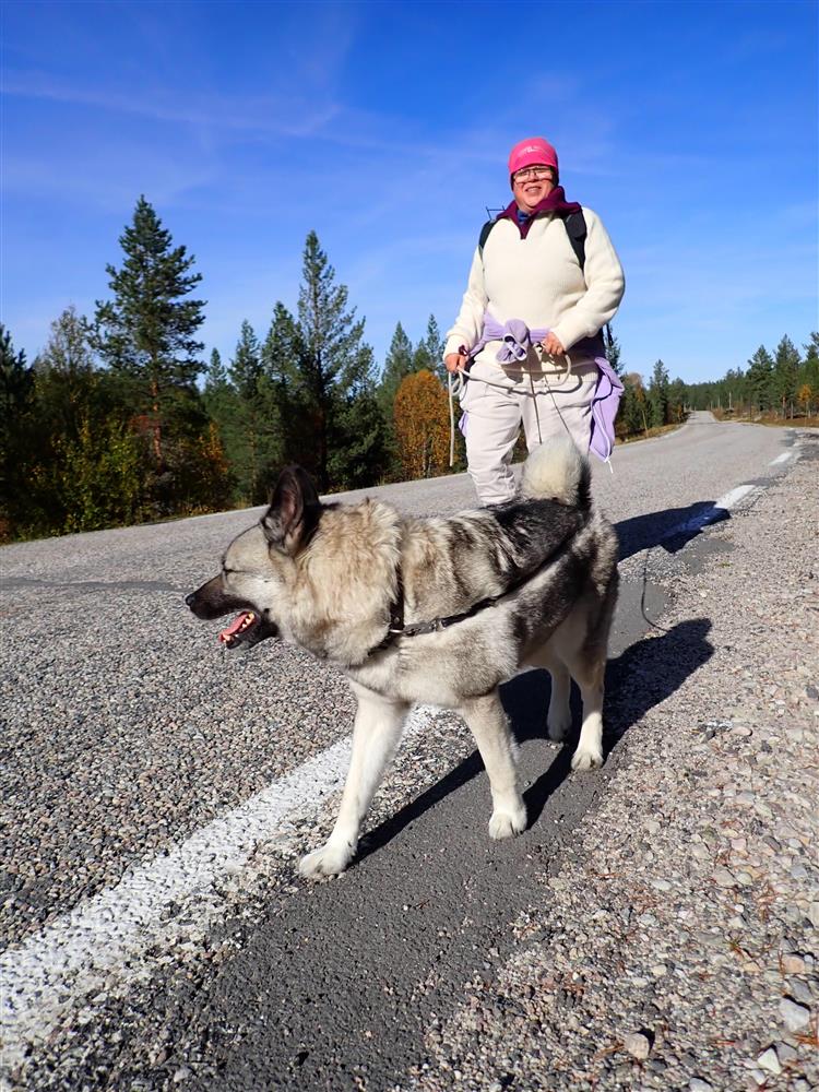 Klikk for stort bilde