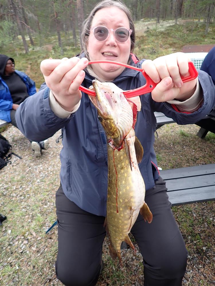Klikk for stort bilde