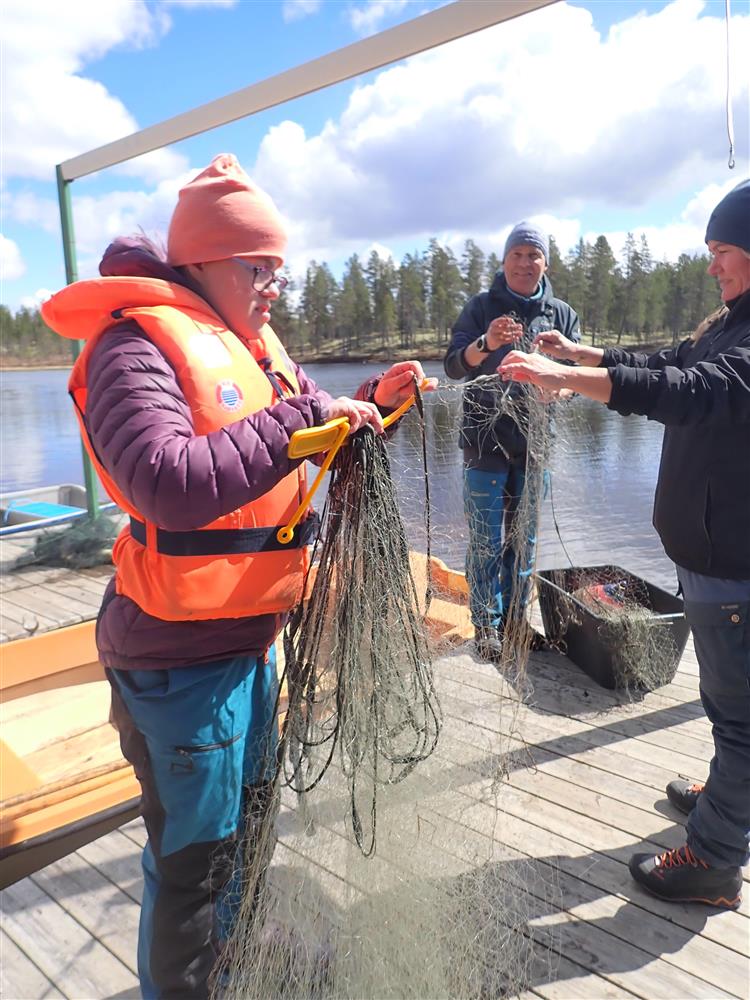 Klikk for stort bilde