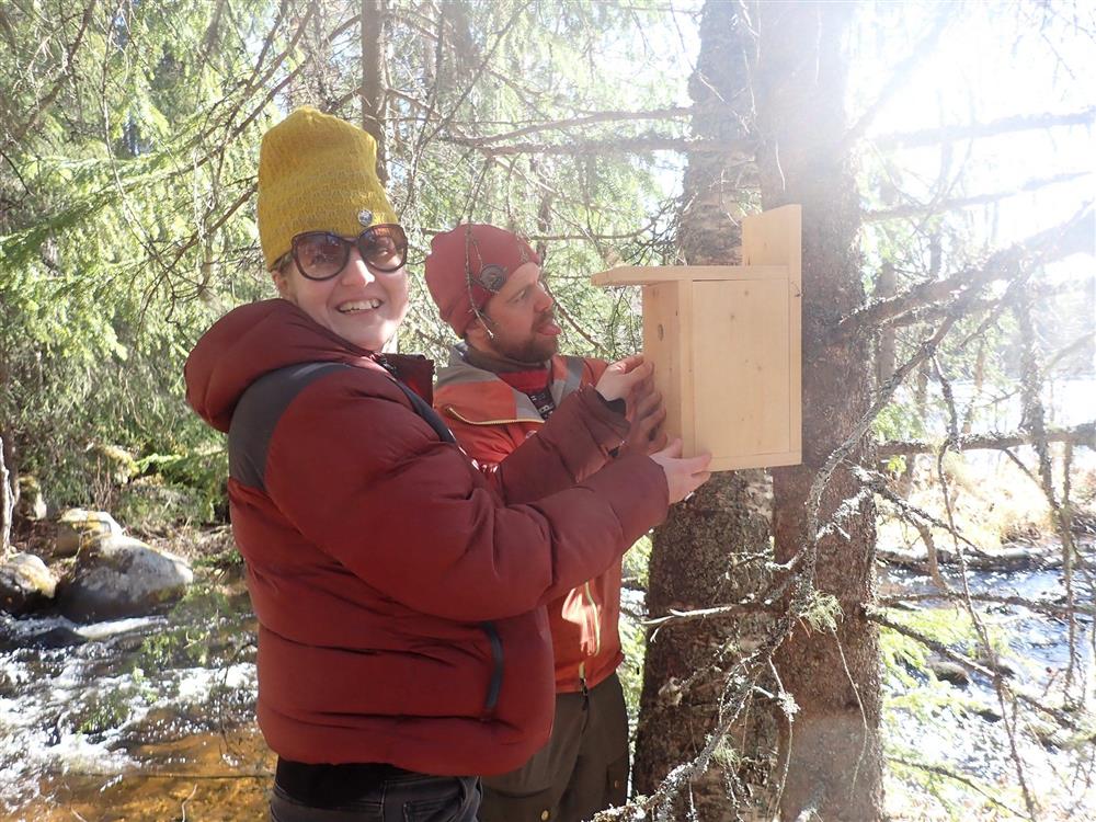 Klikk for stort bilde