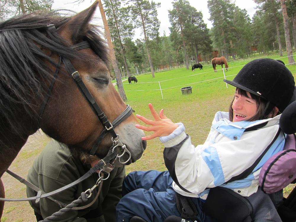 Klikk for stort bilde
