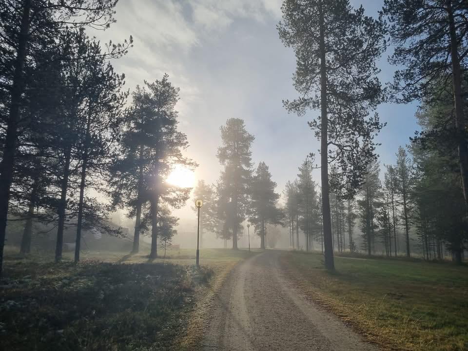 Klikk for stort bilde