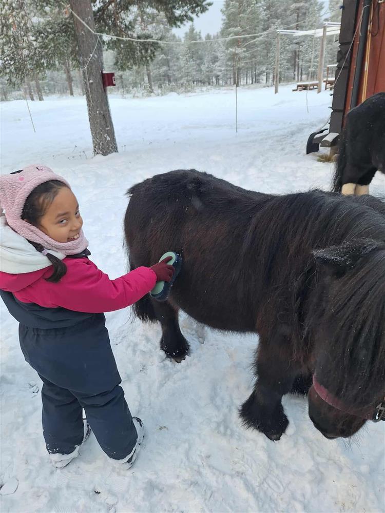 Klikk for stort bilde