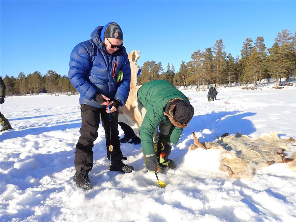 Klikk for stort bilde