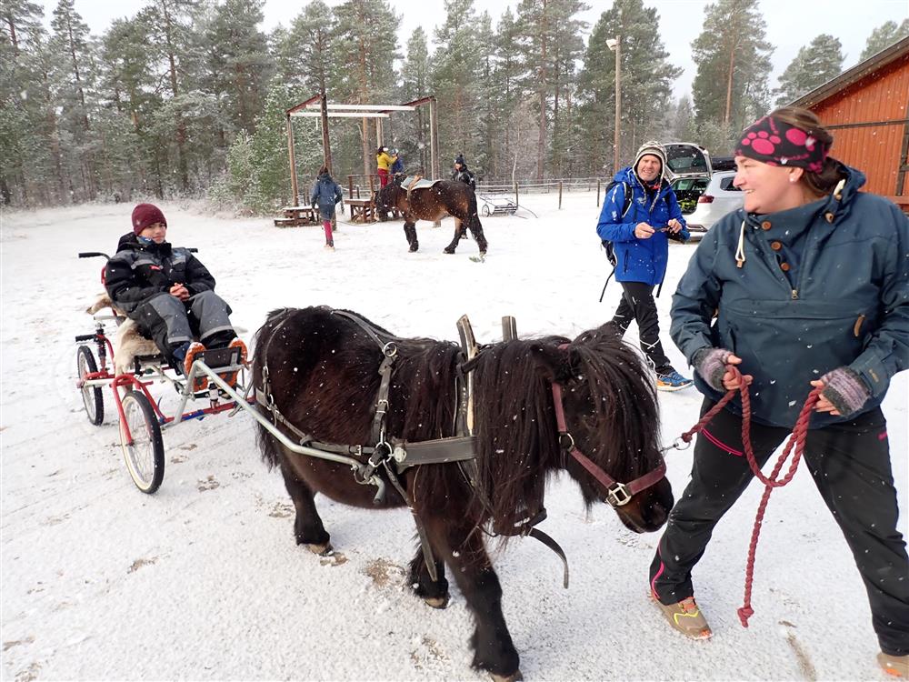 Klikk for stort bilde