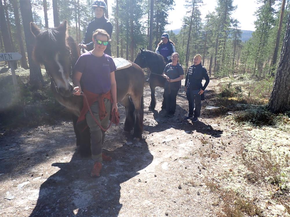 Klikk for stort bilde