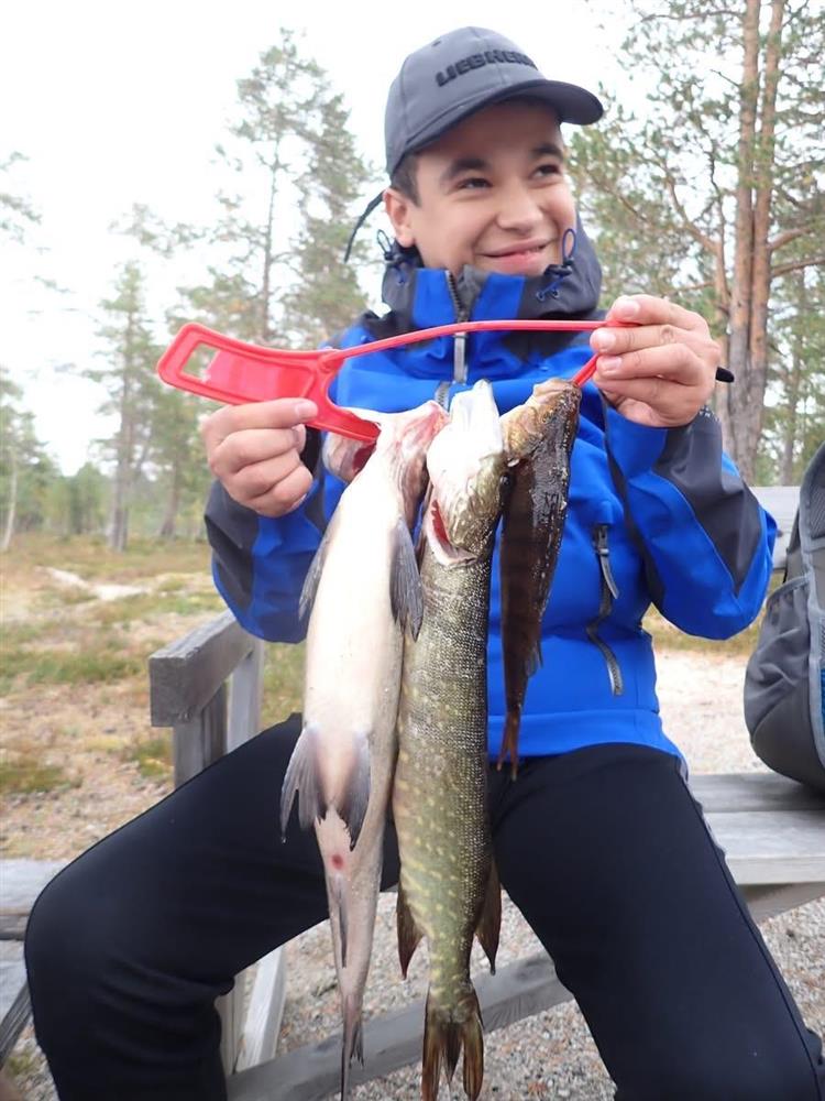 Klikk for stort bilde