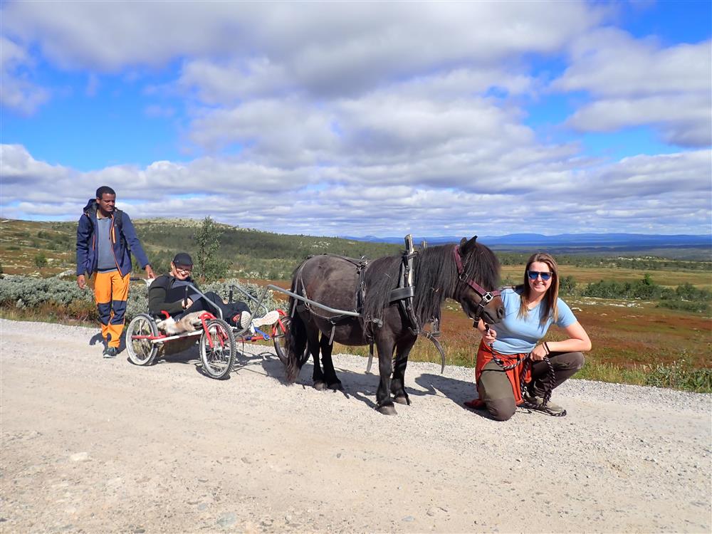 Klikk for stort bilde