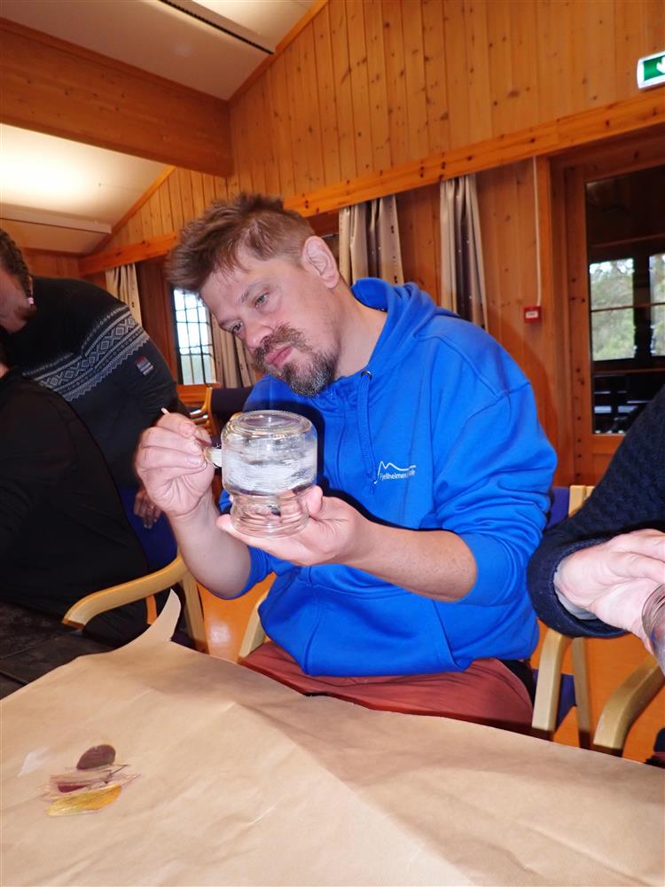 Klikk for stort bilde