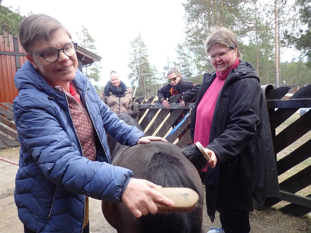 Klikk for stort bilde